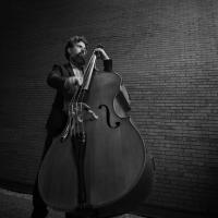 Andrey Junca Goncalves