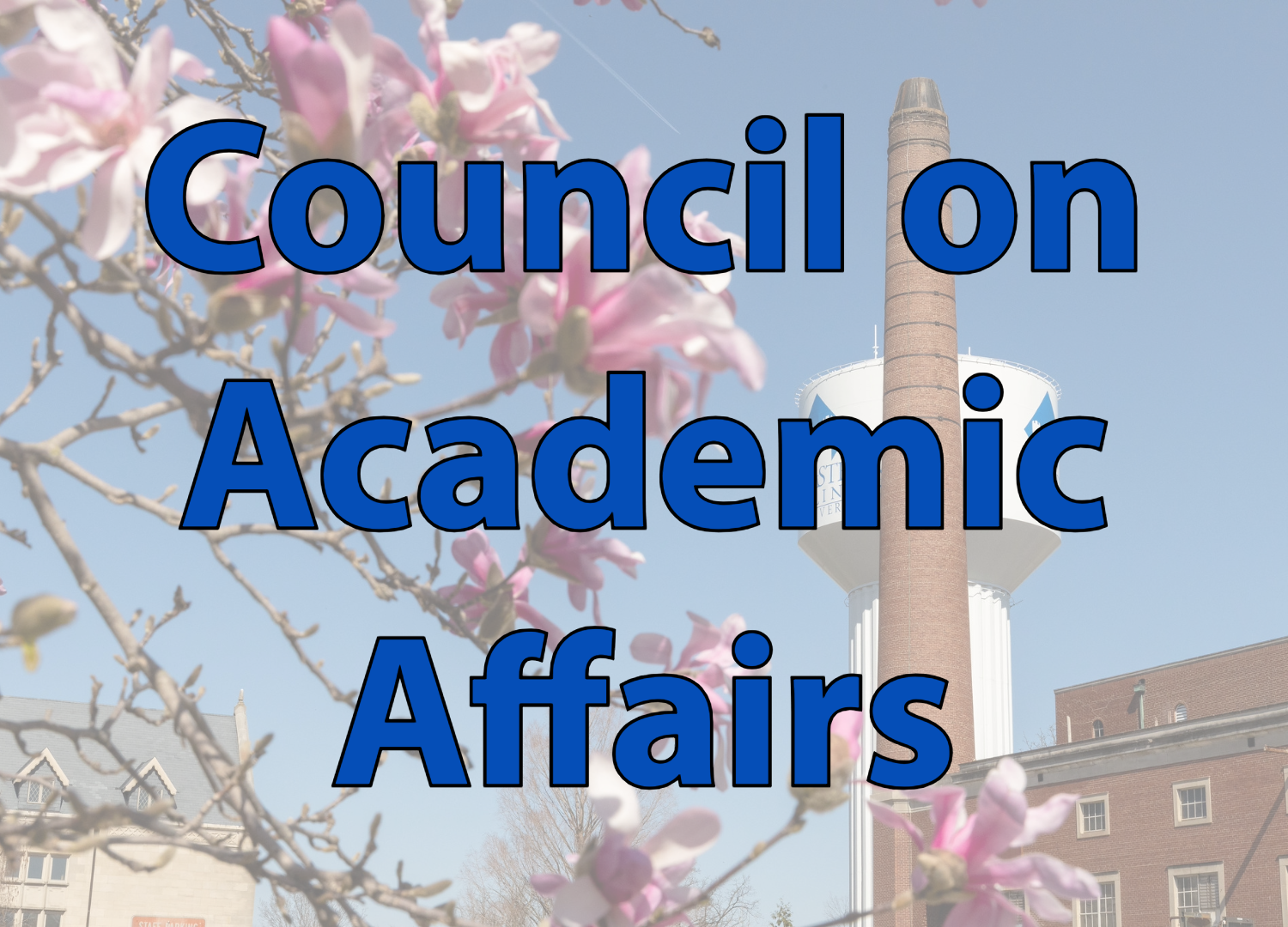 Council on Academic Affairs