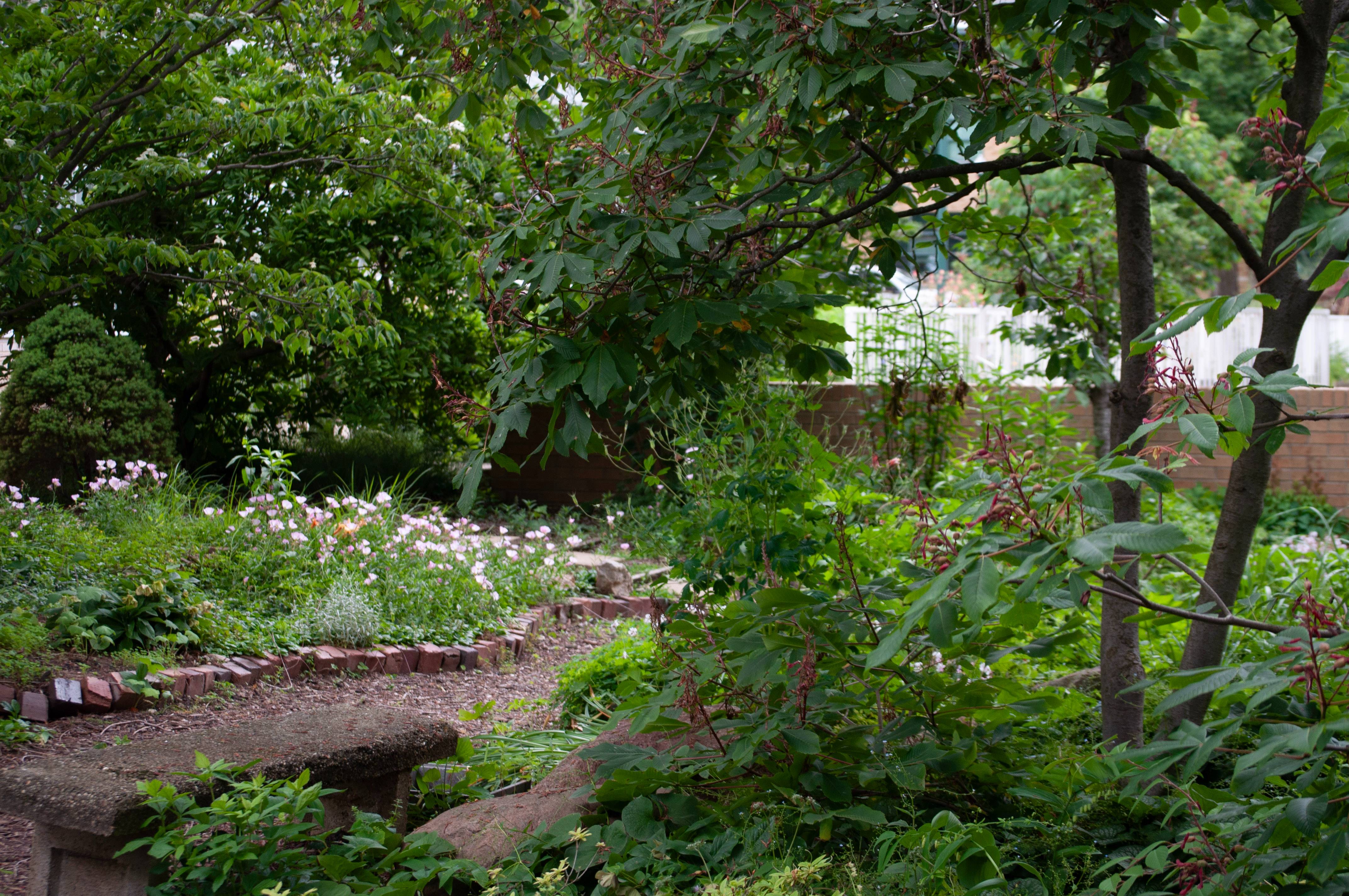 EIU Secret Garden EIU Secret Garden